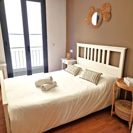 Apartment Very Centric Apartment, Lightful, Well Equipped And Decorated, With Castle Views, And Besides A Plaza In Old Town *